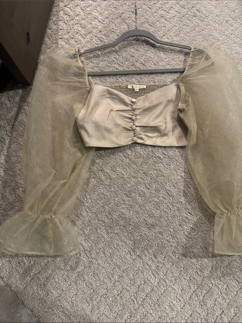 Sheer Puff-Sleeve Cropped Bustier in Pale Gold